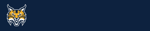 site logo